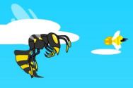 Jocuri gratuite-Jocuri Arcade-Wasp Game